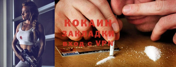шишки Богданович
