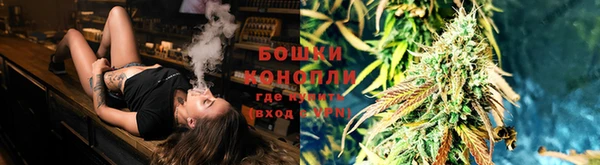 шишки Богданович