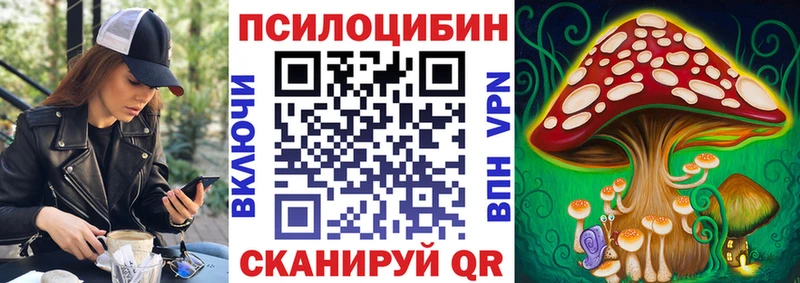 Купить закладки  Нижнекамск  Псилоцибиновые грибы Psilocybe 